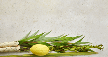 The Sukkot Mindset: Building a Foundation of Gratitude and Growth