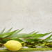 The Sukkot Mindset: Building a Foundation of Gratitude and Growth