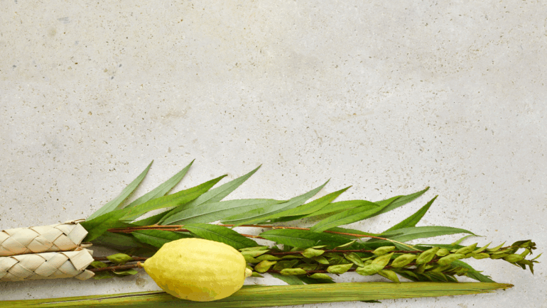 The Sukkot Mindset: Building a Foundation of Gratitude and Growth