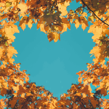 Fall Reflections: What Autumn Teaches Us About Change, Resilience, and the Learning Journey