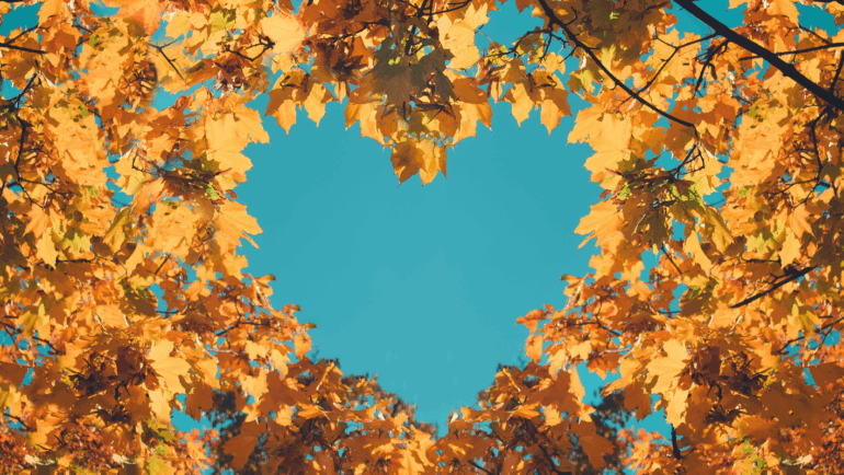 Fall Reflections: What Autumn Teaches Us About Change, Resilience, and the Learning Journey